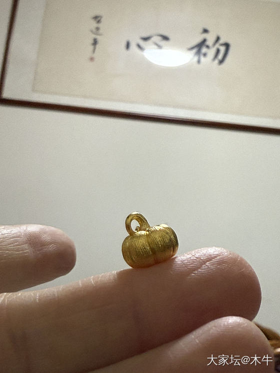 校长家团的小南瓜_金