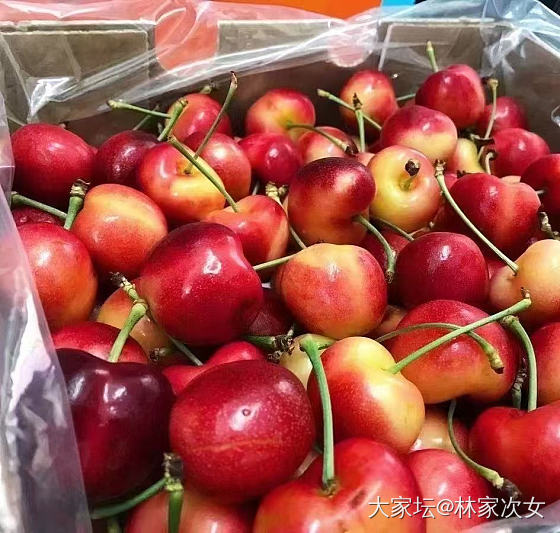 今年的车厘子啥情况呀_水果