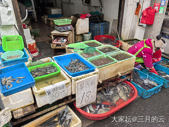 人间烟火气，最抚凡人心_食材