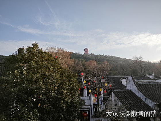 今天惠山古镇挤爆了_旅游