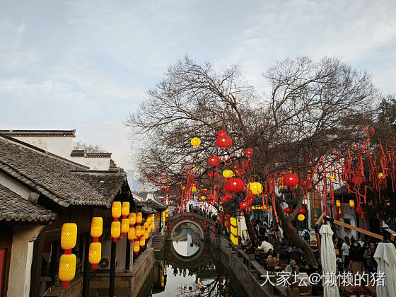 今天惠山古镇挤爆了_旅游