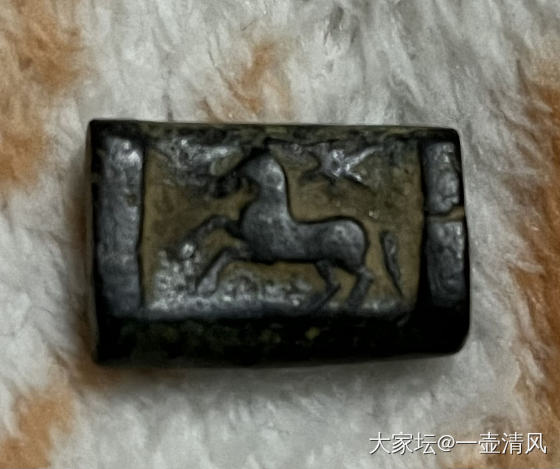 新收的一些古印度健陀罗古币_钱币