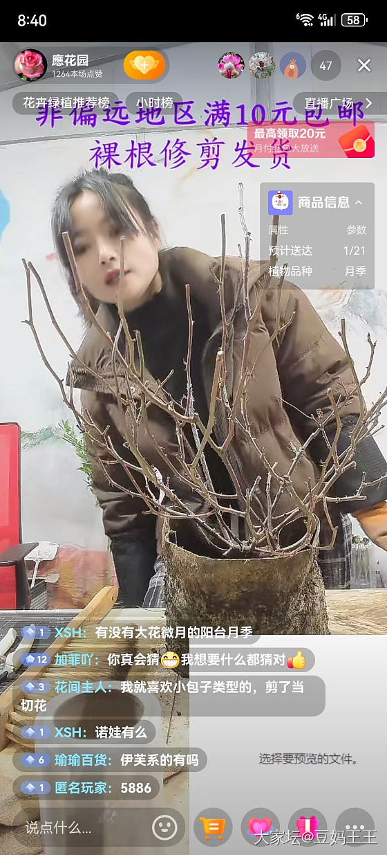 有月季花友吗？_植物