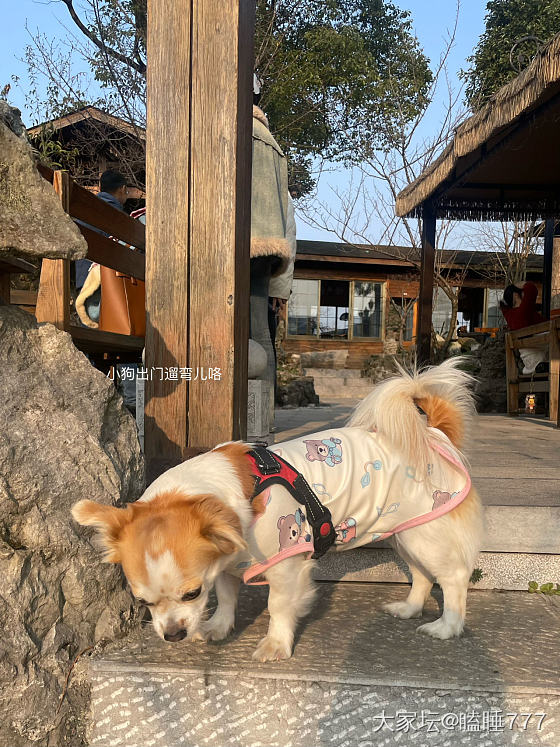 青岩古镇一日游记_旅游