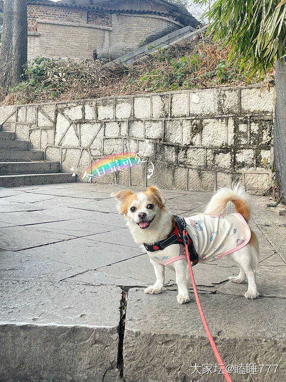 青岩古镇一日游记_旅游