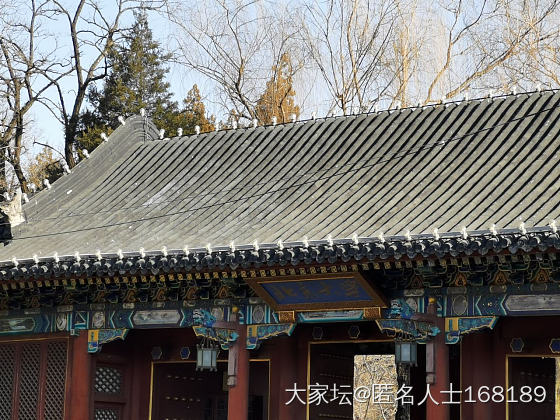 逛清华北大，哈哈_旅游