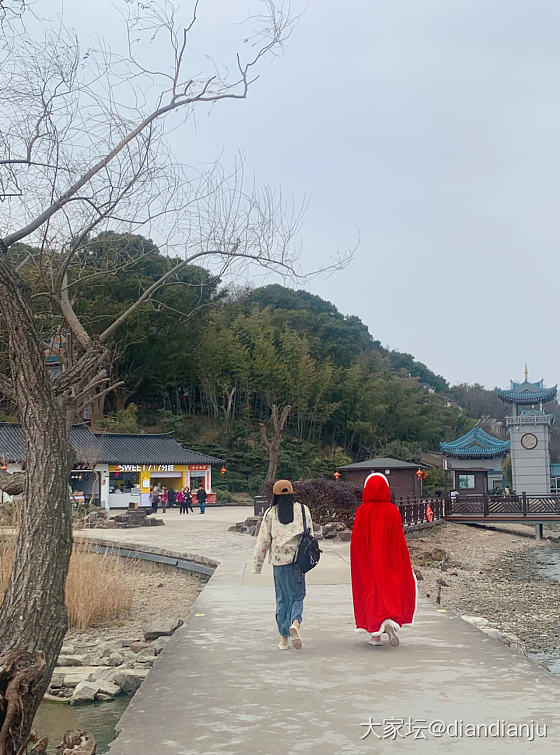 带娃到鼋头渚喂红嘴鸥，吹吹太湖的风_旅游
