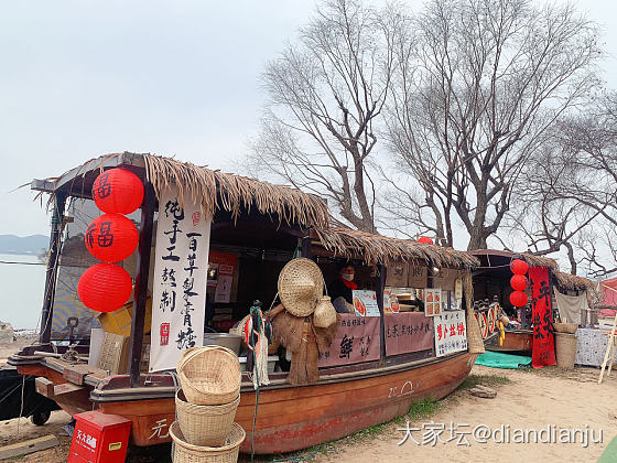 带娃到鼋头渚喂红嘴鸥，吹吹太湖的风_旅游