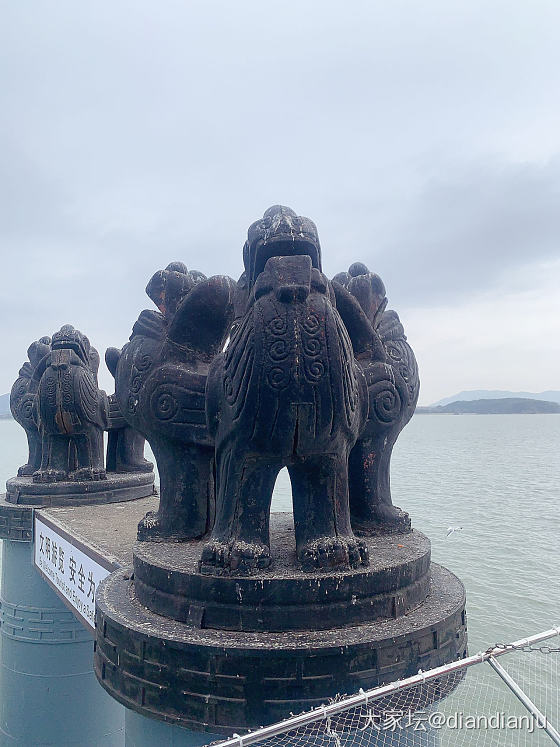 带娃到鼋头渚喂红嘴鸥，吹吹太湖的风_旅游