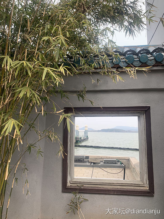 带娃到鼋头渚喂红嘴鸥，吹吹太湖的风_旅游