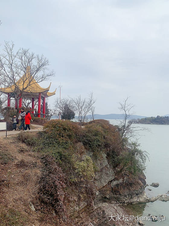 带娃到鼋头渚喂红嘴鸥，吹吹太湖的风_旅游