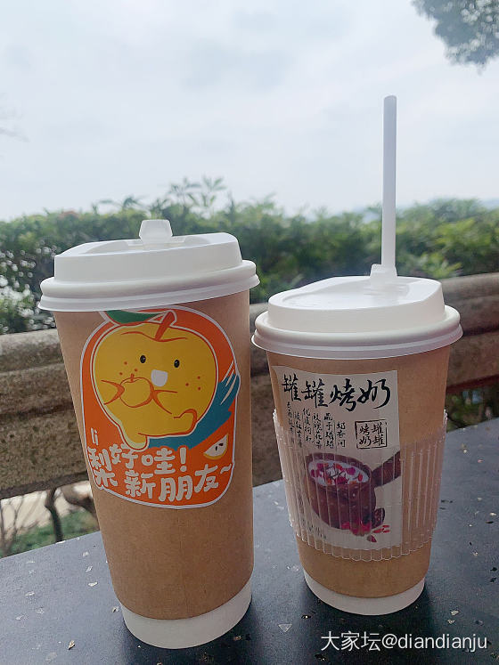 带娃到鼋头渚喂红嘴鸥，吹吹太湖的风_旅游