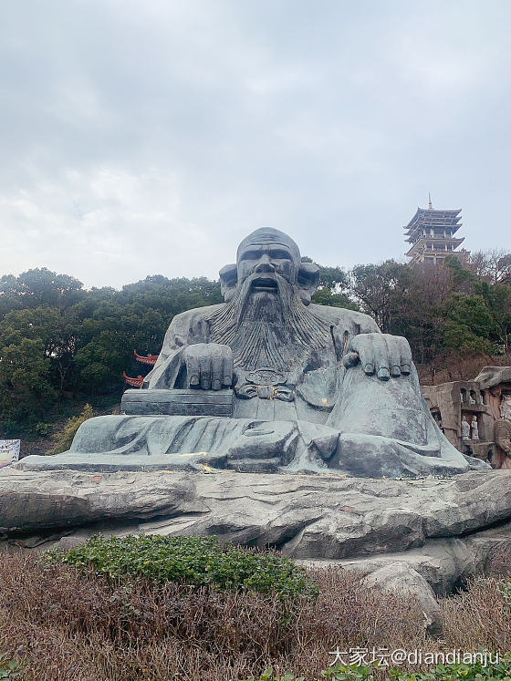 带娃到鼋头渚喂红嘴鸥，吹吹太湖的风_旅游