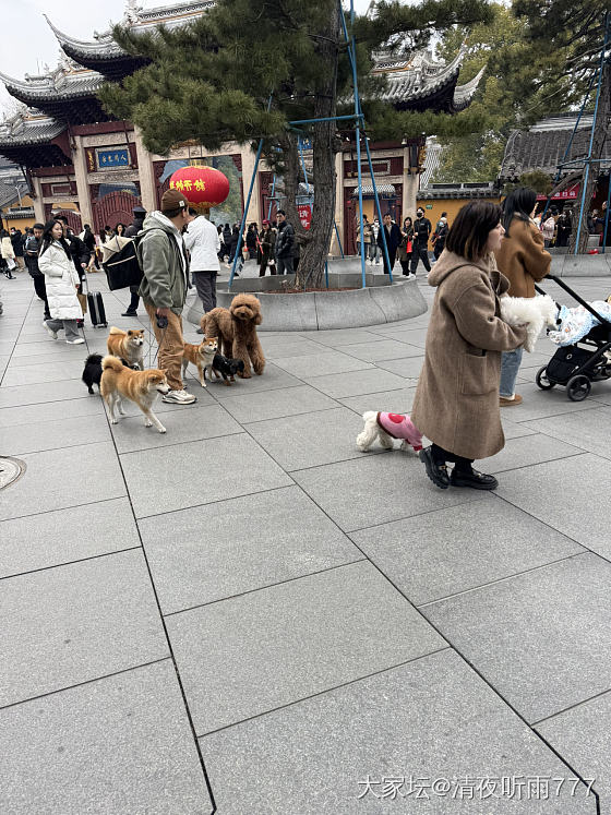 农历新年之前，如愿去寺院抄经祈福。请了三合手绳。嗯，有点好看。_节日闲聊