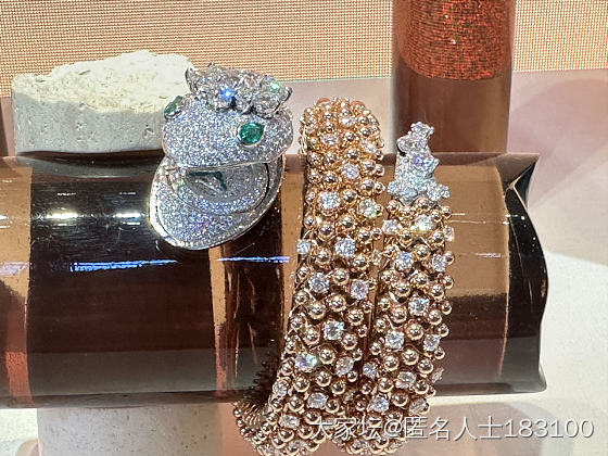 宝格丽蛇年特展_展会奢侈品品牌