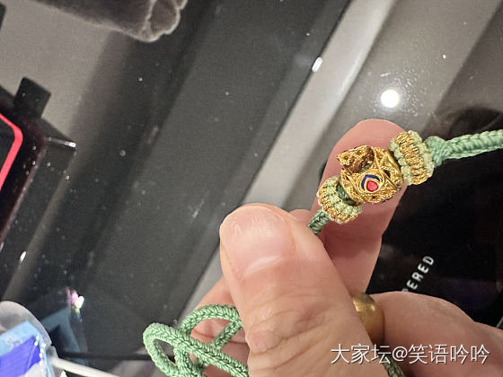 小坏鸟_鸟