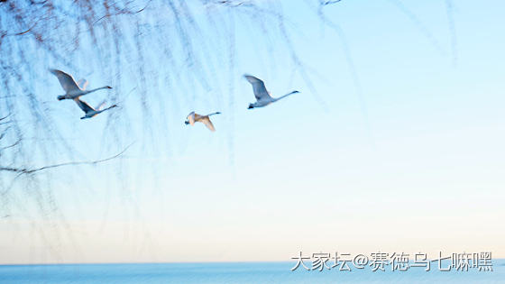 抬头接好运，金星伴月，-14度的安大略湖_景色