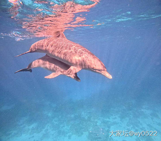 玩儿垃圾袋的🐬_闲聊旅游