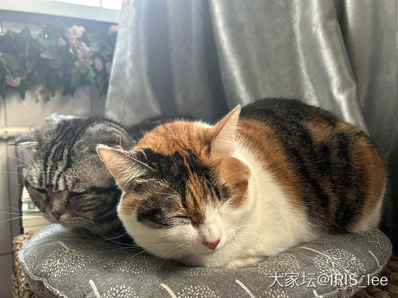 沉香怎么选？_木
