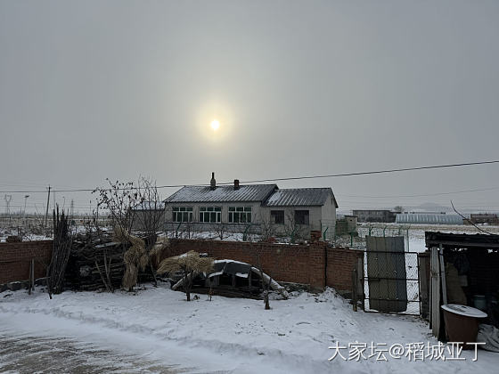 本来老板让我初六就要回哈尔滨上班。我争取请假放到元宵节之后回去上班。_闲聊生活