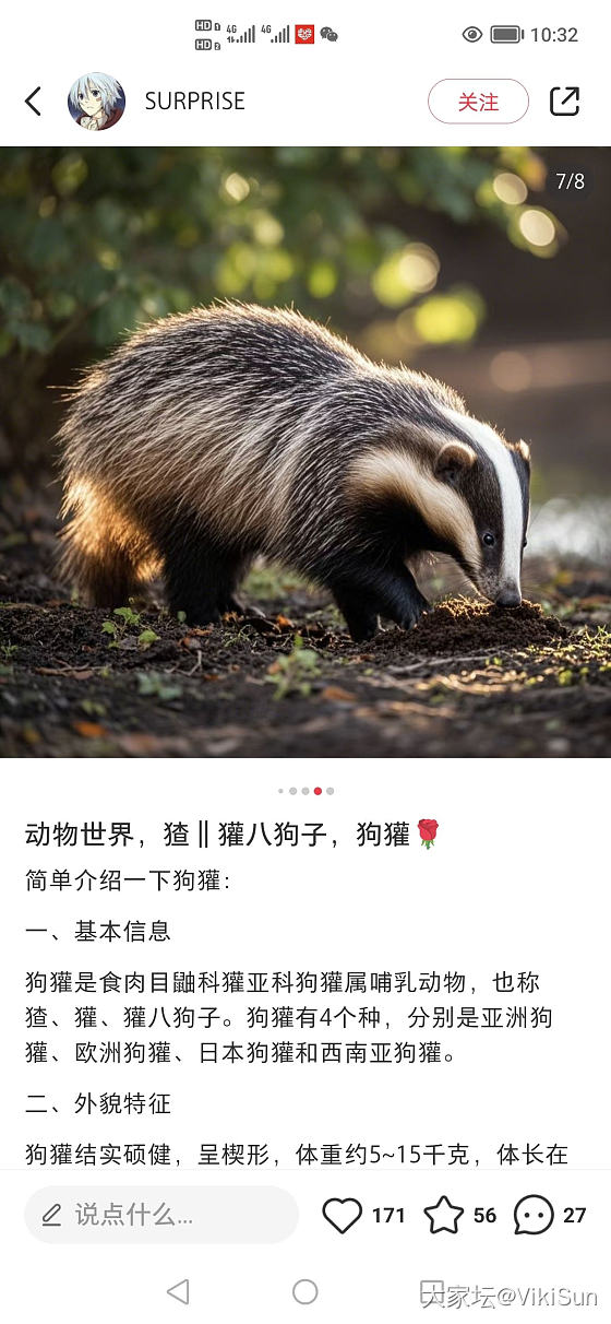 万能的坛友，这是什么动物呀？_哺乳类