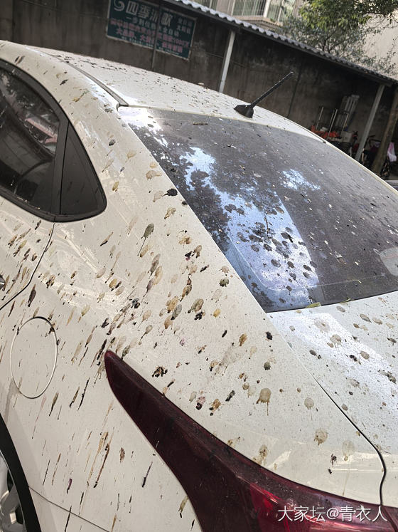 肃静回避威武……_车