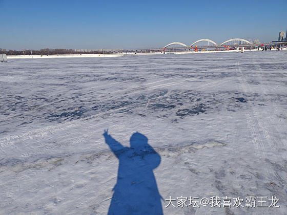 东北虎林园，雪博会，抗洪纪念塔，松花江冰娱，滨州铁路桥，Ф姎大街，索菲亚大教堂_旅游闲聊