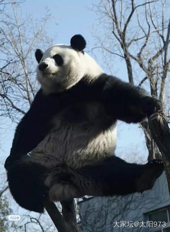 我理解不了的人类幼崽_育教亲子