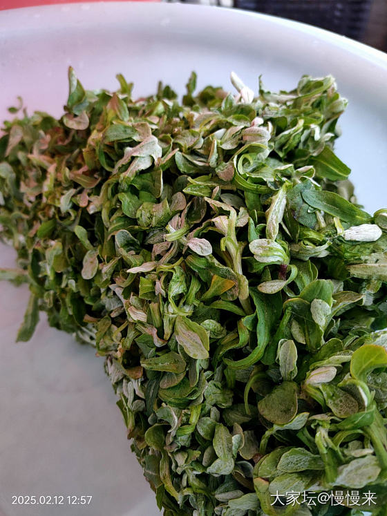 恶心的梦（慎入）_闲聊