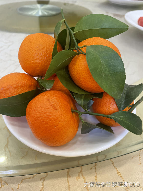美食_美食