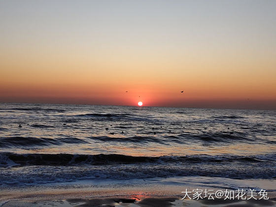 北戴河冻海日出_旅游