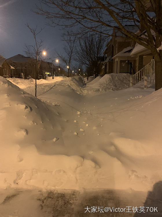 我爱你，塞北的雪。 让你一次爱个够。_生活