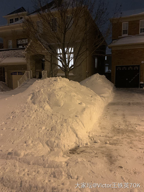 我爱你，塞北的雪。 让你一次爱个够。_生活