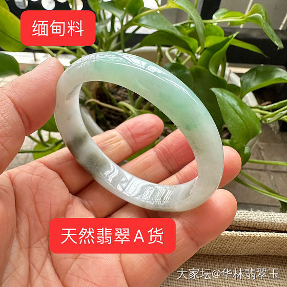 冰胶黄加绿贵妃手镯54mm_翡翠