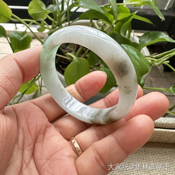 冰胶黄加绿贵妃手镯54mm_翡翠