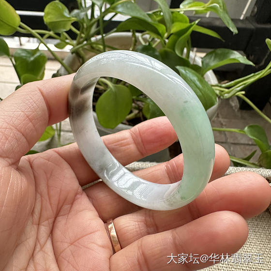 冰胶黄加绿贵妃手镯54mm_翡翠