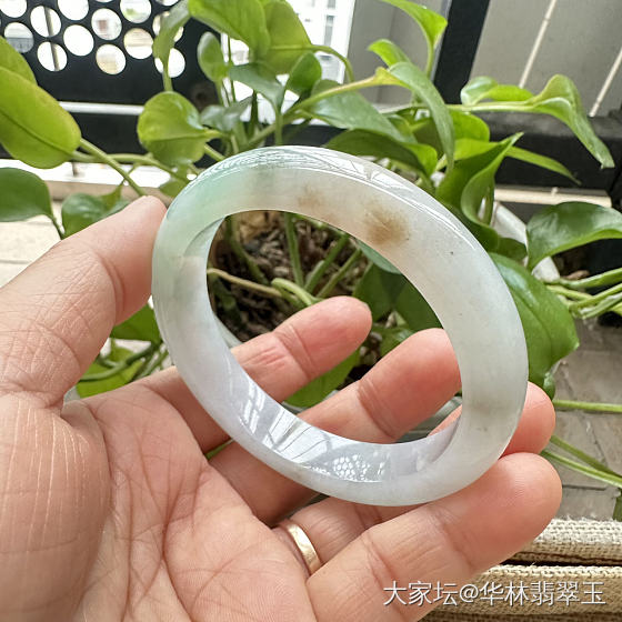 放漏-冰胶黄加绿正圈57mm_翡翠