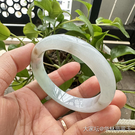 放漏-冰胶黄加绿正圈57mm_翡翠