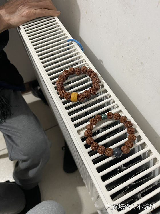 南方的雨季陪老爸烤火，金刚我们一人一串，老爸的盘得比我的好。_菩提子