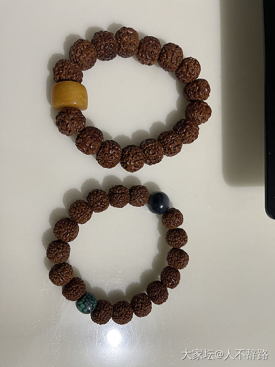 南方的雨季陪老爸烤火，金刚我们一人一串，老爸的盘得比我的好。_菩提子