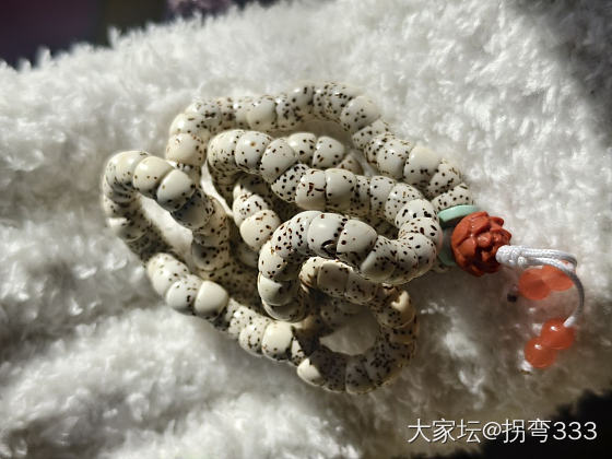 新玩具，太好玩了～哈哈哈_菩提子