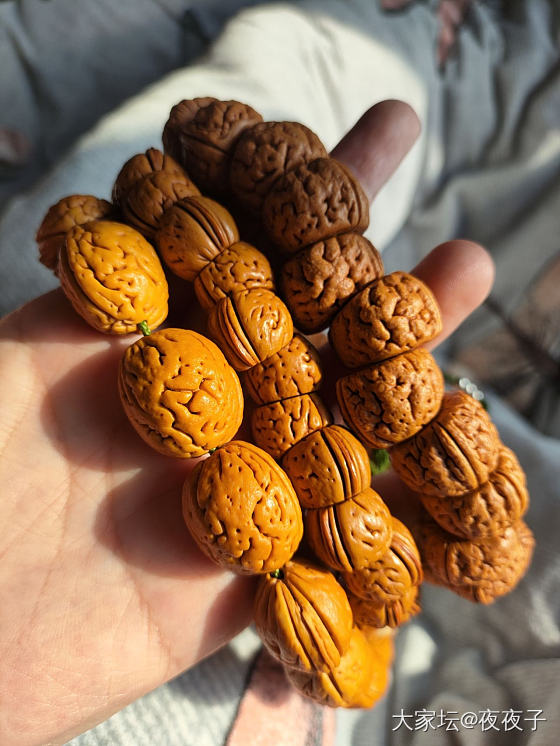 成都我谢谢你，你终于出太阳了_核桃菩提子文玩银