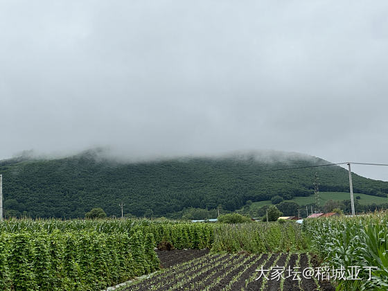 早上梦见我已经去世一年多的外公了，诶。梦里的场景是外婆家农村老房子。_闲聊生活