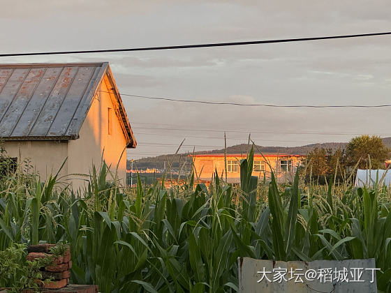 早上梦见我已经去世一年多的外公了，诶。梦里的场景是外婆家农村老房子。_闲聊生活