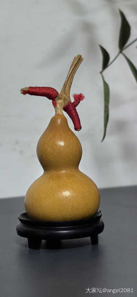 继续晒葫芦_葫芦