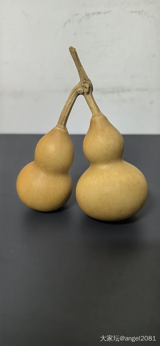 继续晒葫芦_葫芦