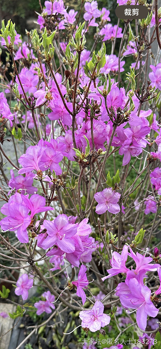 早，三月。_闲聊植物生活