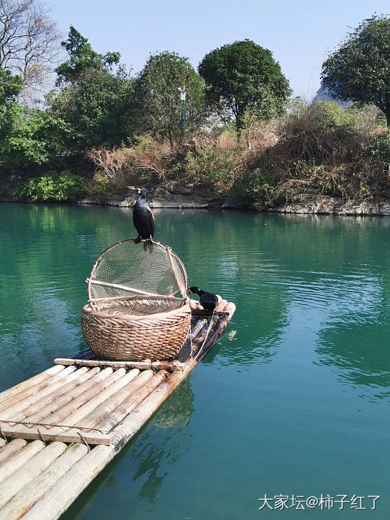 大美阳朔_景色旅游