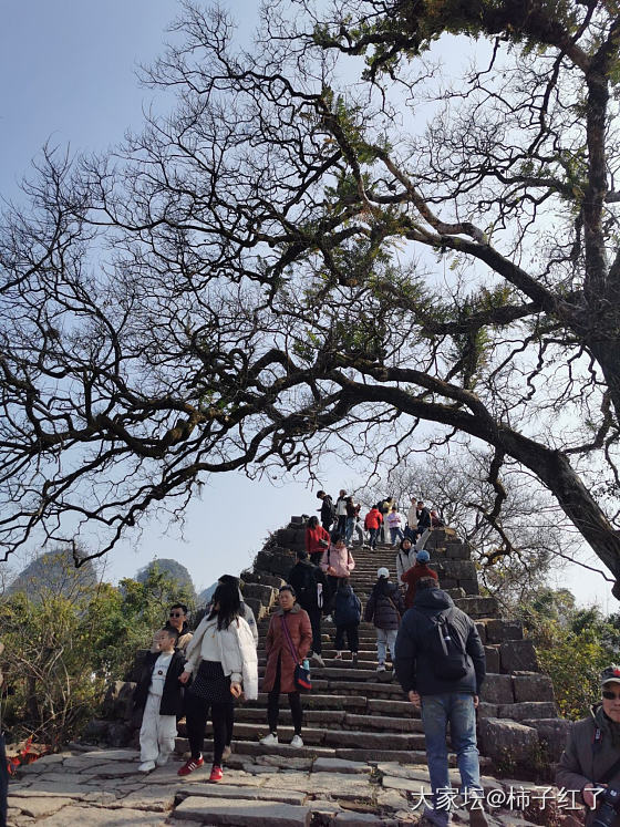 大美阳朔_景色旅游