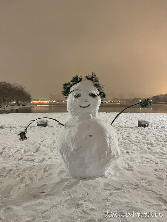 是大雪来了_景色